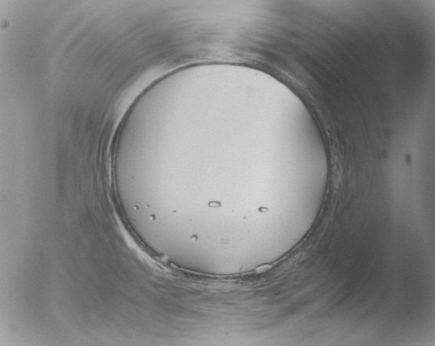 X0000051241479200507152110