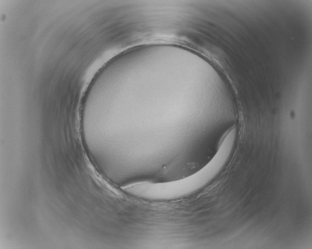 X0000051241480200507152110