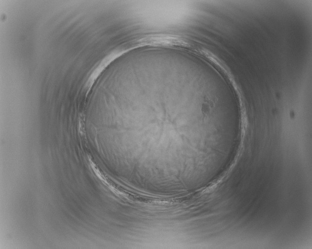 X0000051241481200507152110