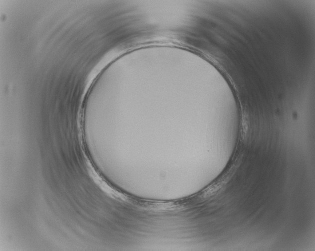 X0000051241482200507152110