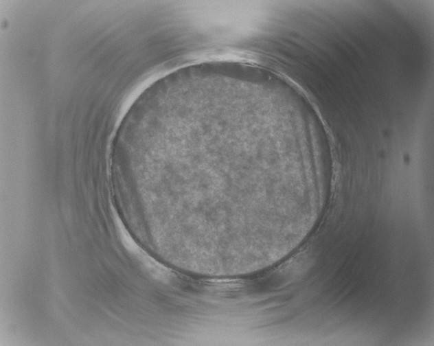 X0000051241483200507152110