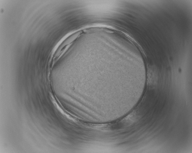 X0000051241484200507152110