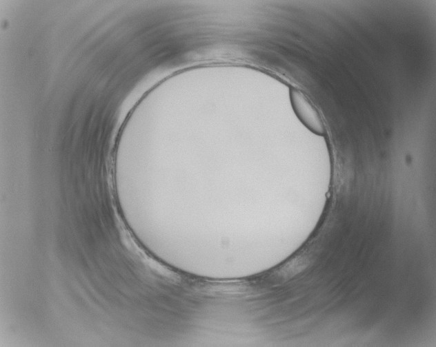 X0000051241486200507152110