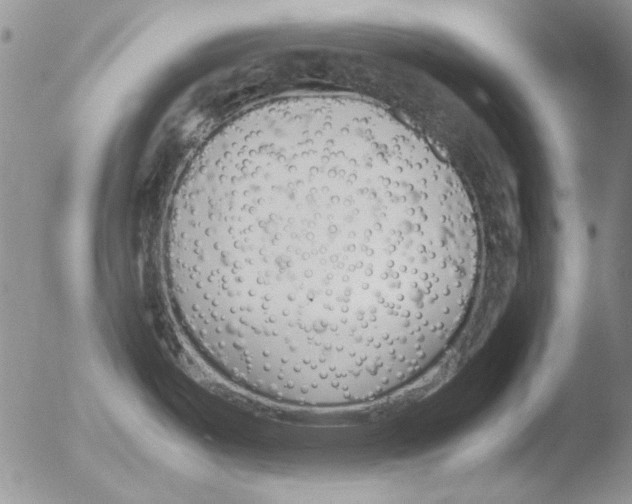 X0000051241487200507152110