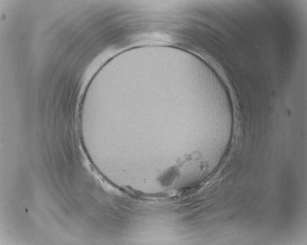 X0000051241488200507152110