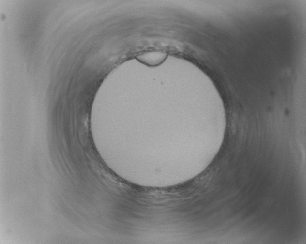 X0000051241489200507152109