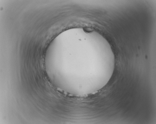 X0000051241490200507152109