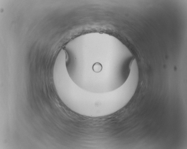 X0000051241492200507152109