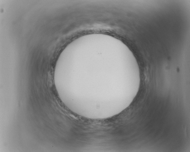 X0000051241493200507152109