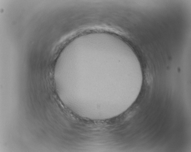 X0000051241494200507152109