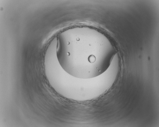 X0000051241496200507152109