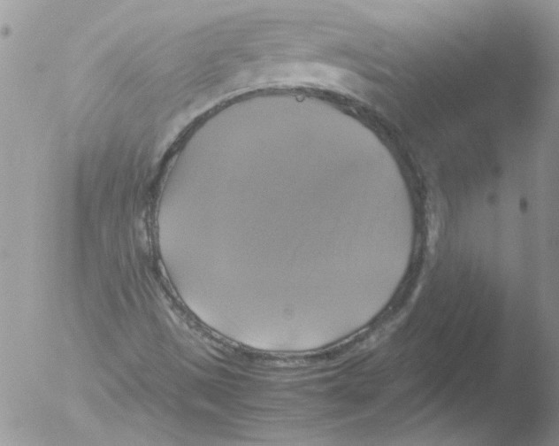 X0000051241497200507152109