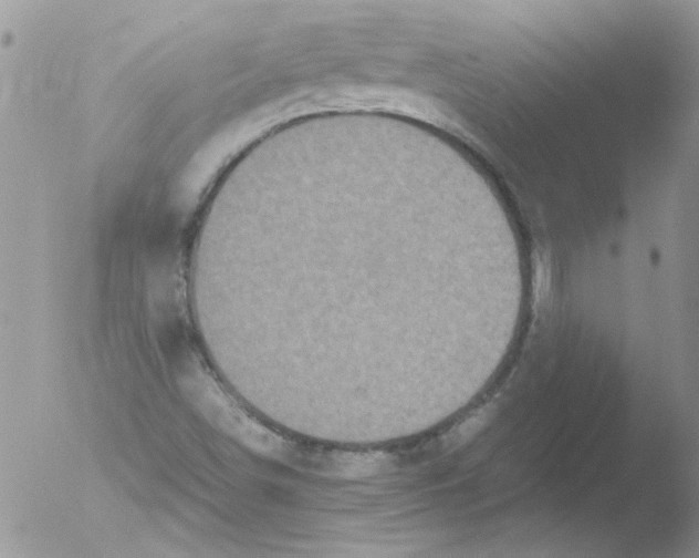 X0000051241498200507152110