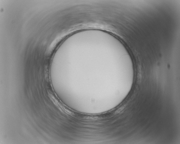 X0000051241499200507152110