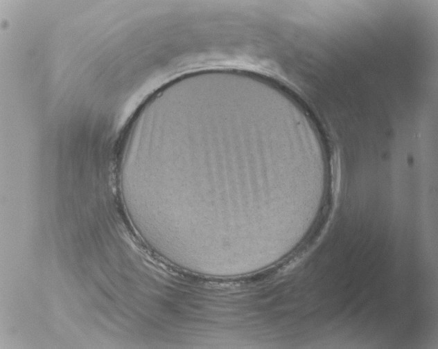 X0000051241501200507152110