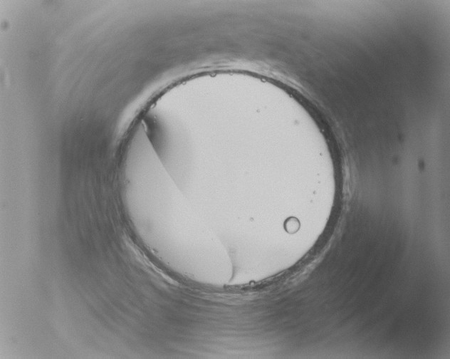 X0000051241502200507152110