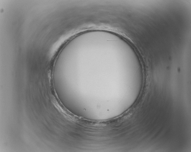 X0000051241503200507152110