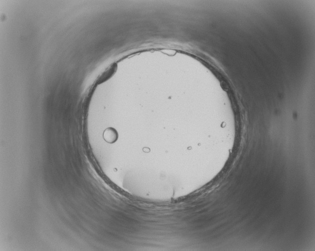 X0000051241504200507152110