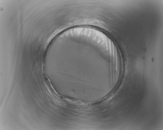 X0000051241505200507152110