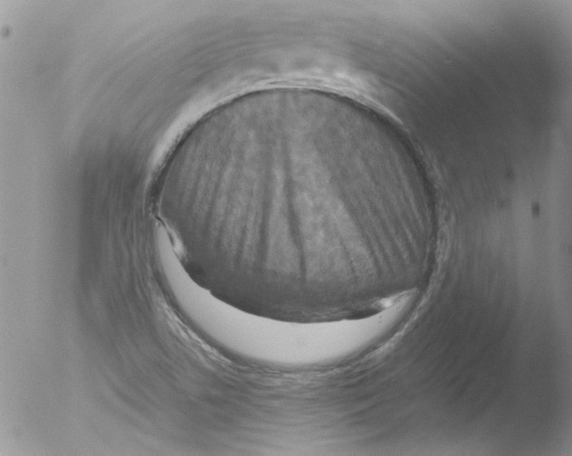 X0000051241506200507152110