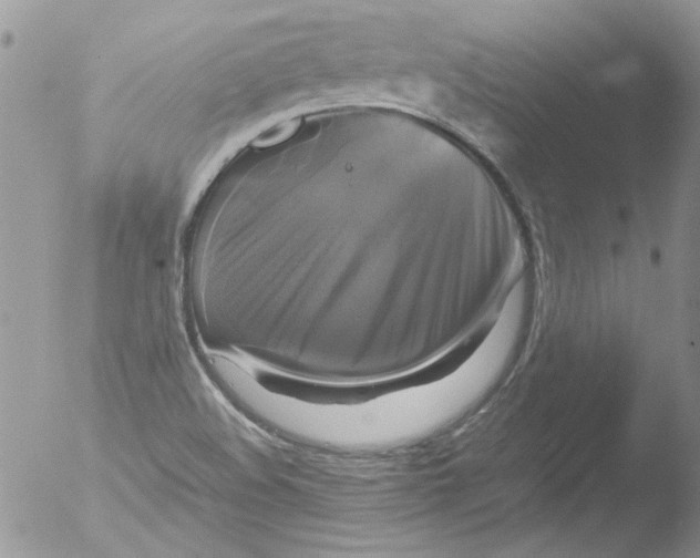 X0000051241508200507152110