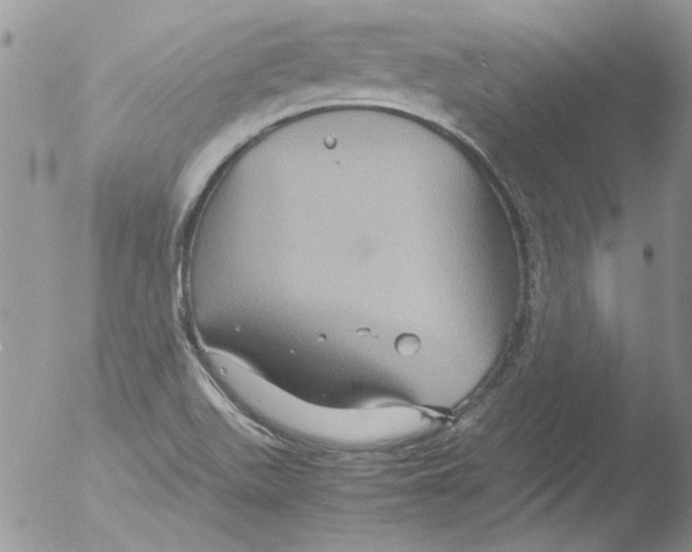 X0000051241511200507152110