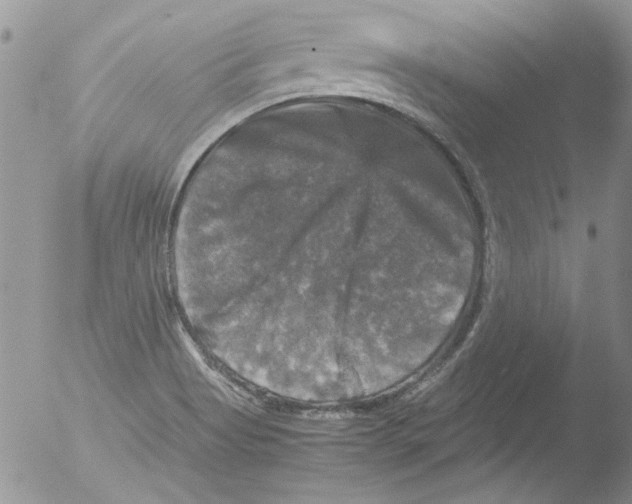 X0000051241513200507152110