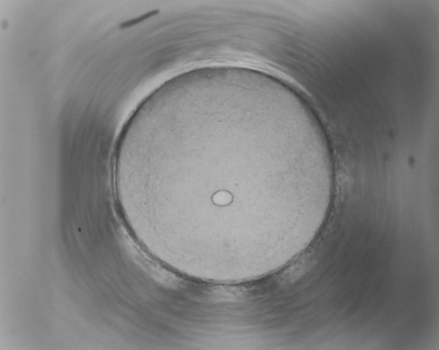 X0000051241514200507152110