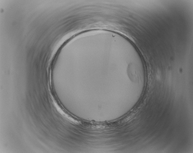 X0000051241515200507152110