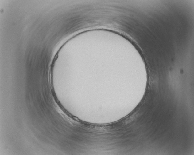 X0000051241516200507152110