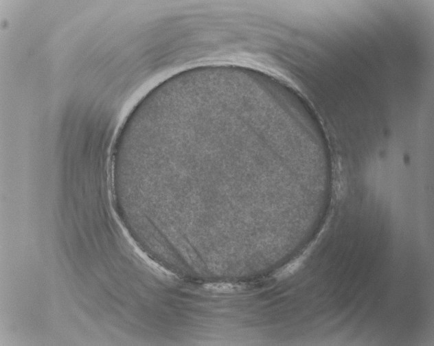 X0000051241517200507152110