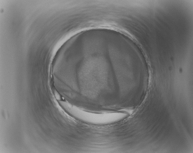 X0000051241520200507152110