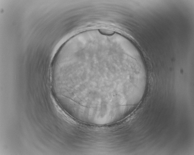 X0000051241522200507152110