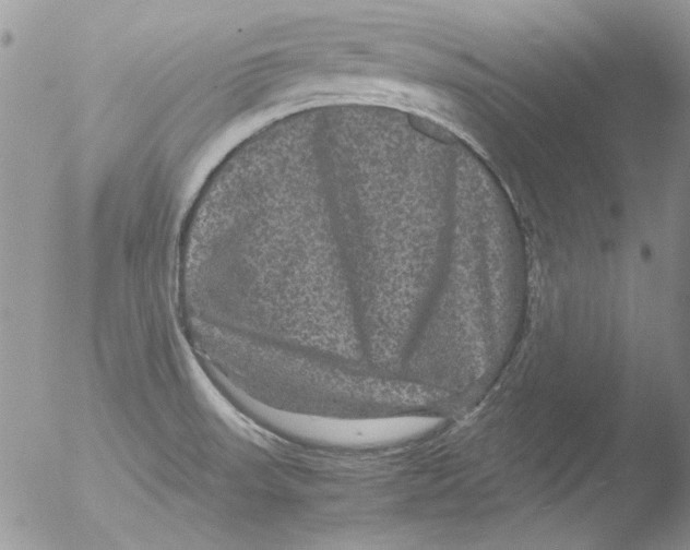 X0000051241523200507152110