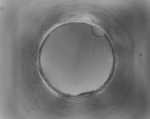 X0000051241525200507152110