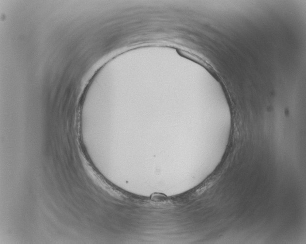 X0000051241526200507152110