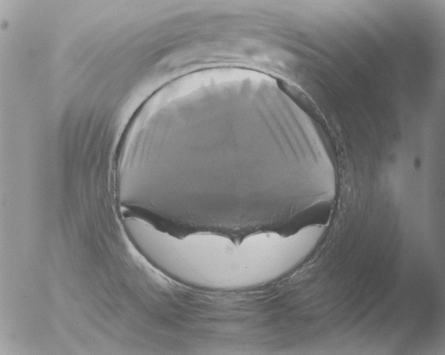 X0000051241527200507152110