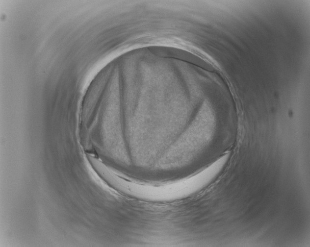 X0000051241528200507152110