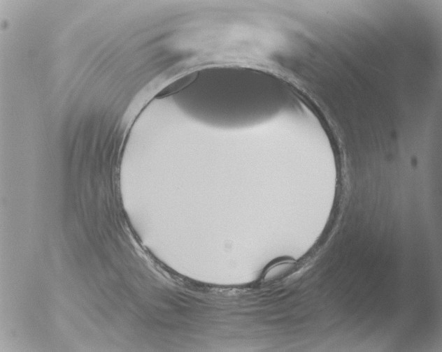 X0000051241529200507152110