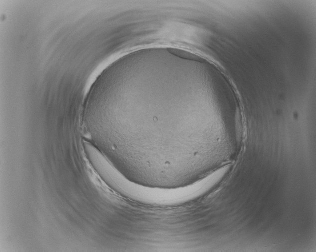 X0000051241530200507152110