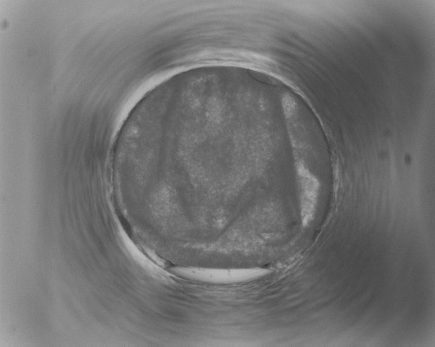 X0000051241531200507152110