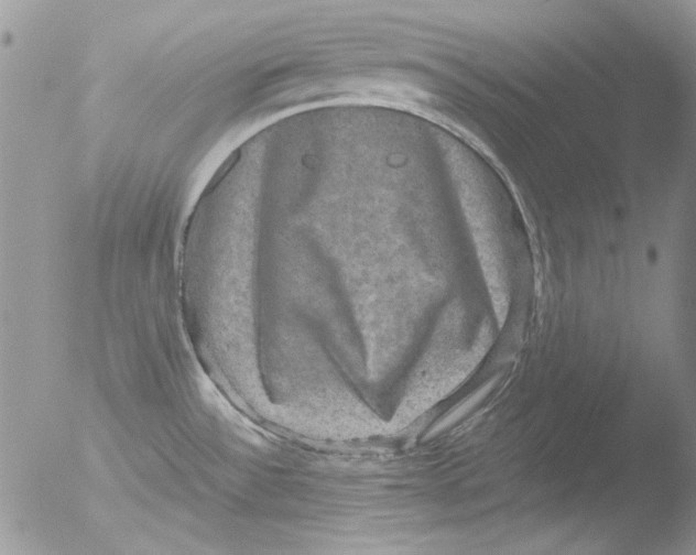 X0000051241532200507152110