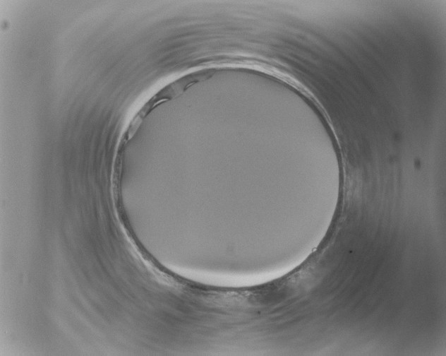 X0000051241533200507152110