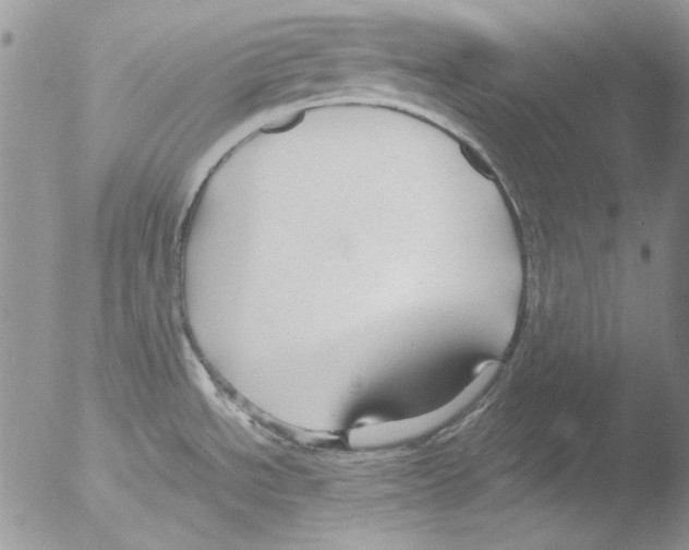 X0000051241534200507152110