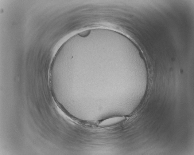 X0000051241535200507152110