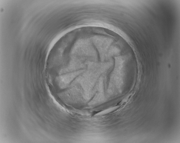 X0000051241536200507152110