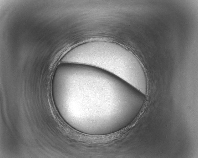 X0000051250001200506170854