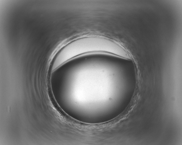 X0000051250007200506170854