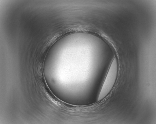 X0000051250009200506170854