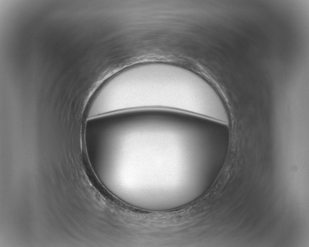 X0000051250011200506170854